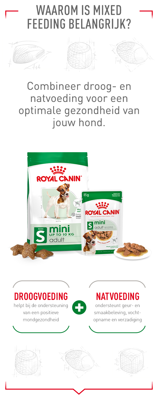 Royal Canin Mini Dry and Wet Food